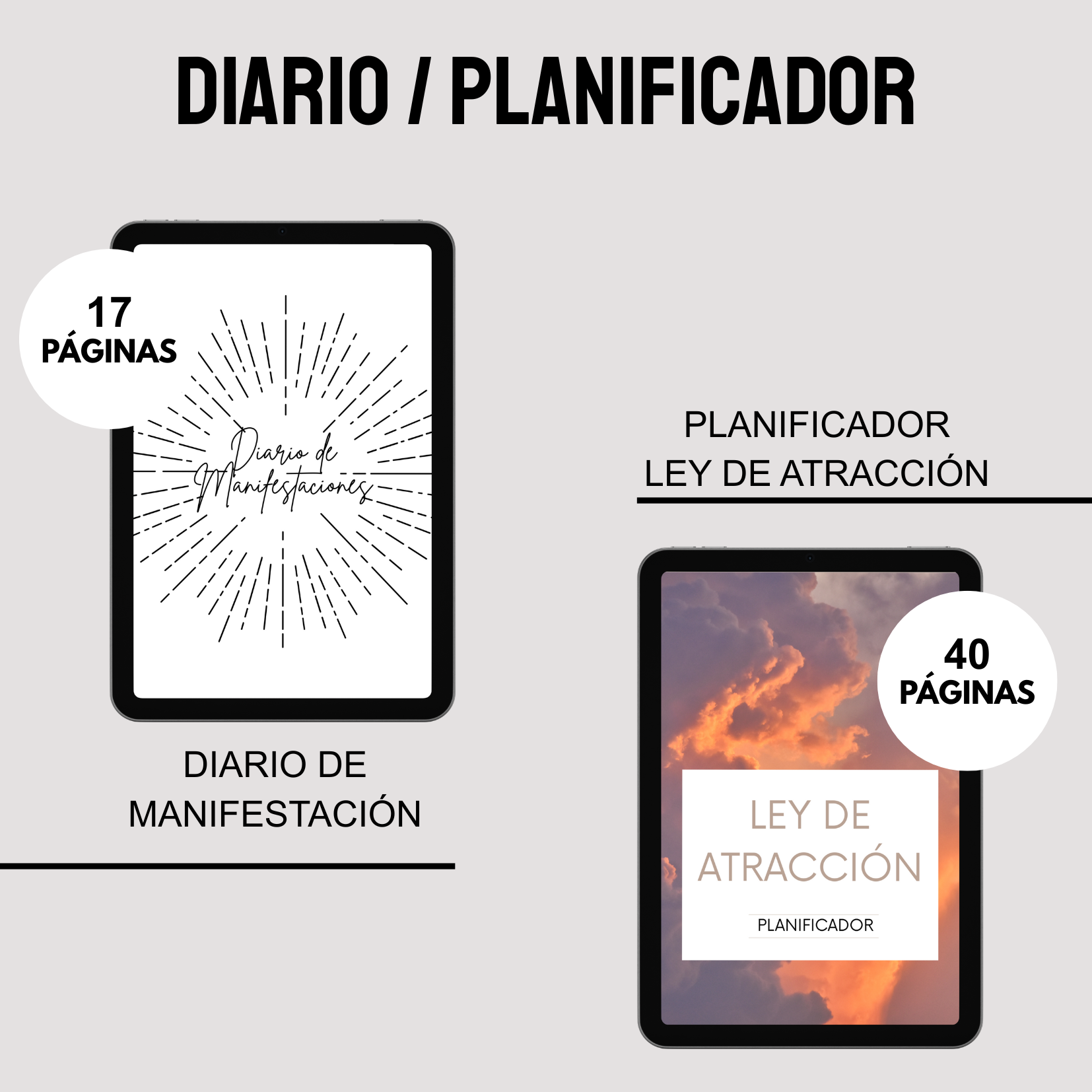 El Arte De La Manifestación