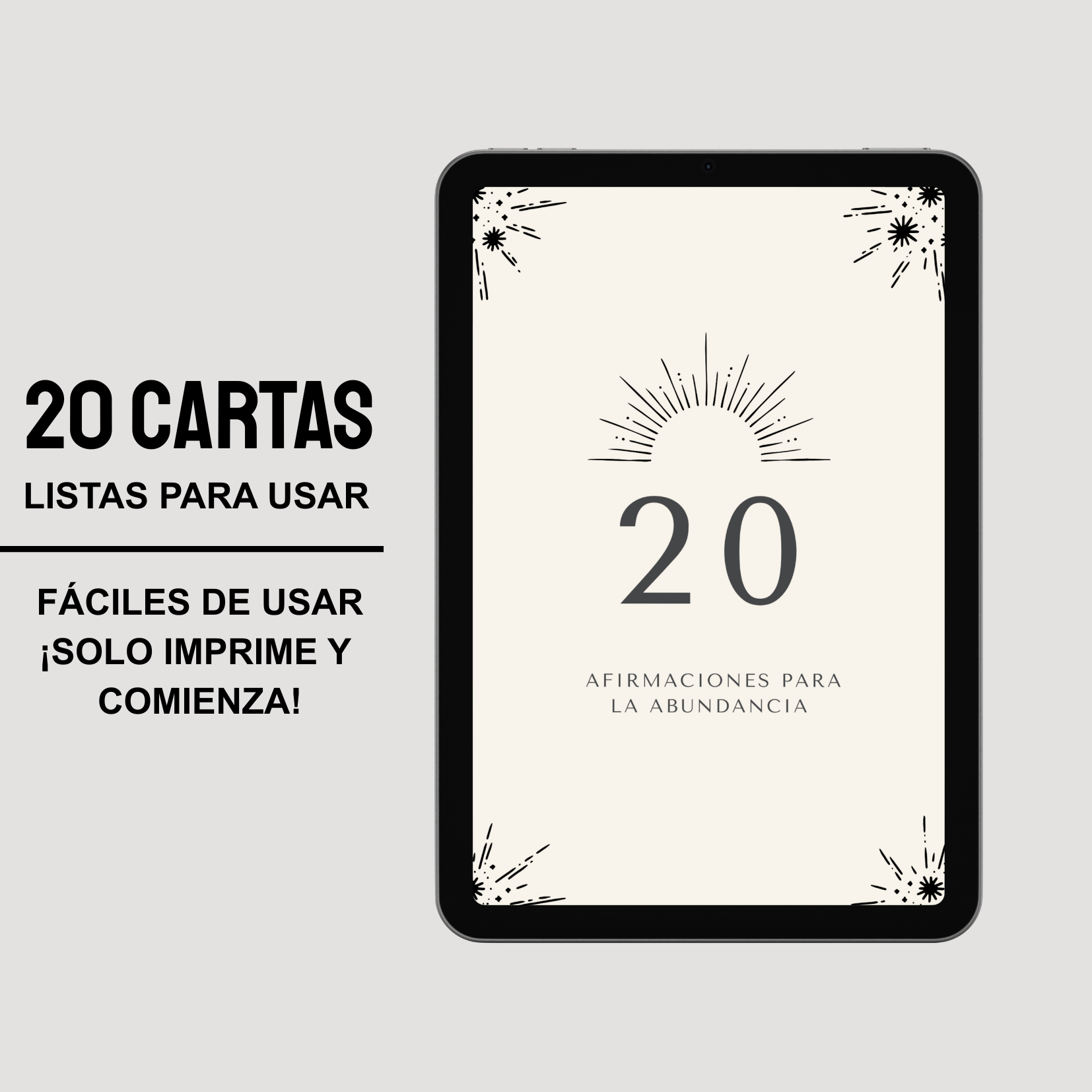 El Arte De La Manifestación